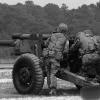 105mm_dvic490.jpg